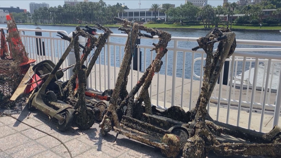 29 Electric Scooters Removed From Hillsborough River